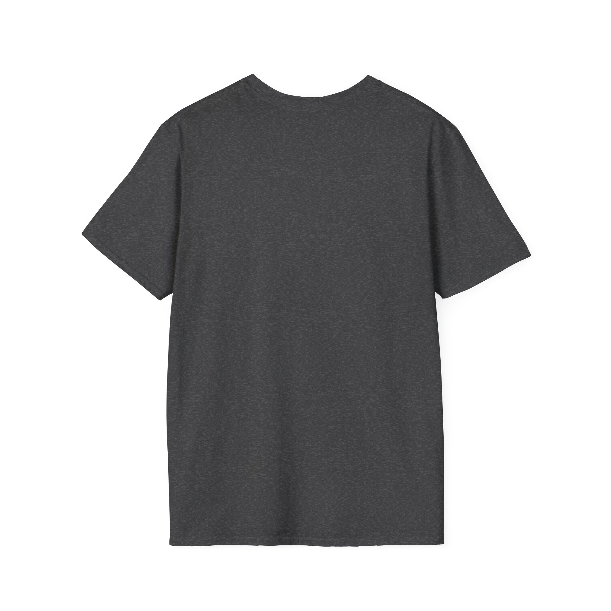 No Pain No Gain Gym T-Shirt — Motivational Workout Tee
